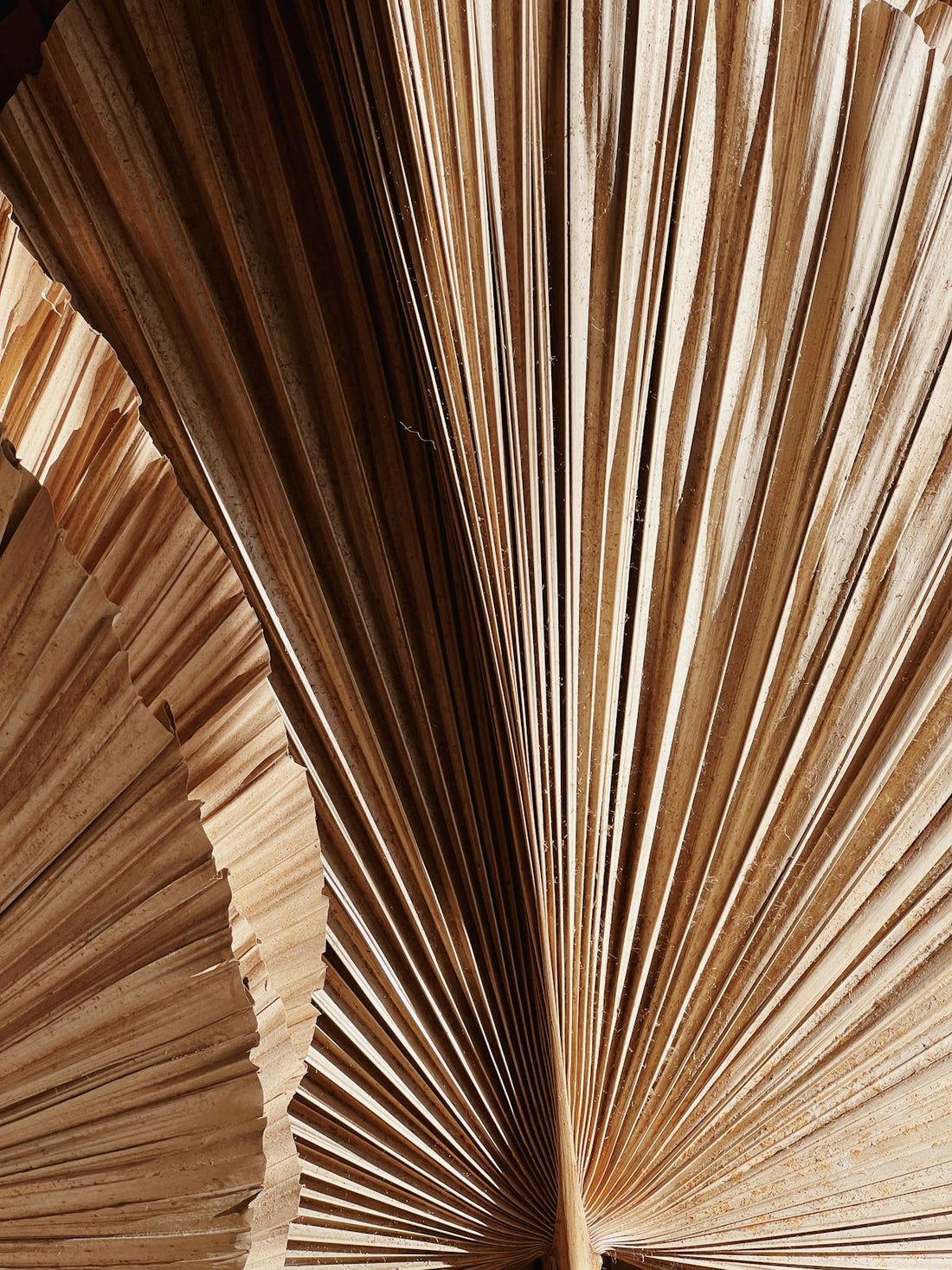 a close up of a wood floor