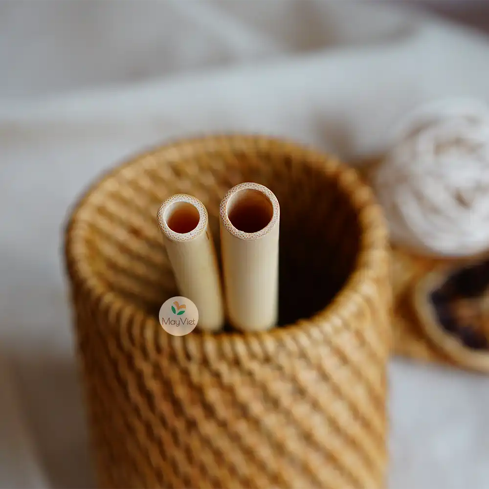 Reusable Bamboo Drinking Straw, Pack of 3 Including Storage Bag, and Coire Fibre Brush Big Size