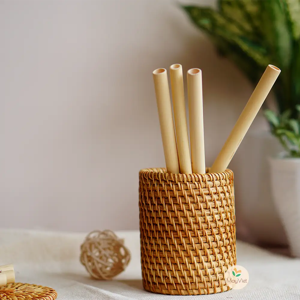 Reusable Bamboo Drinking Straw, Pack of 3 Including Storage Bag, and Coire Fibre Brush Big Size